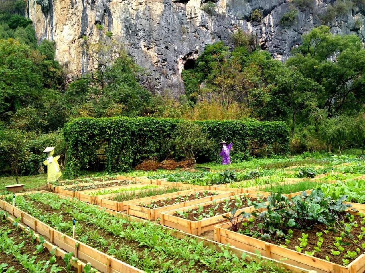 Nirvana Organic Farm Inn Яншо Экстерьер фото